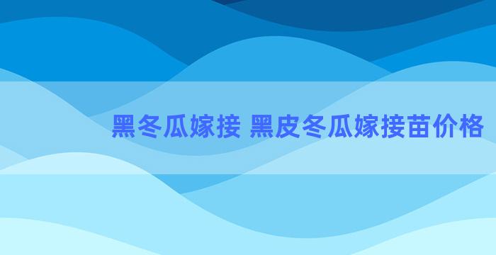 黑冬瓜嫁接 黑皮冬瓜嫁接苗价格